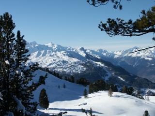 Aussicht_Nendaz_12